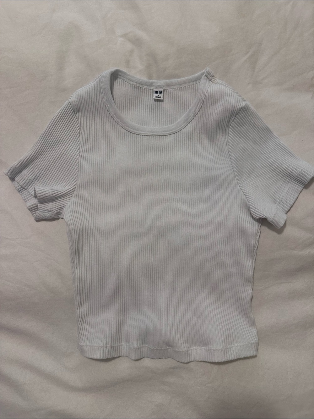 BASIC RIBBED CROP T SHIRT